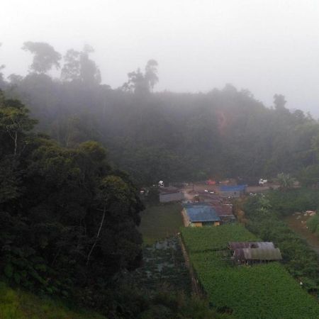 The Pines Hotel Kampung Kuala Terla Zewnętrze zdjęcie