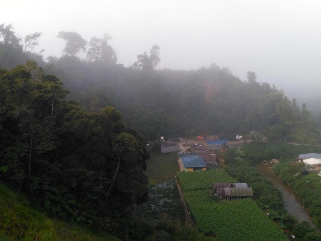 The Pines Hotel Kampung Kuala Terla Zewnętrze zdjęcie