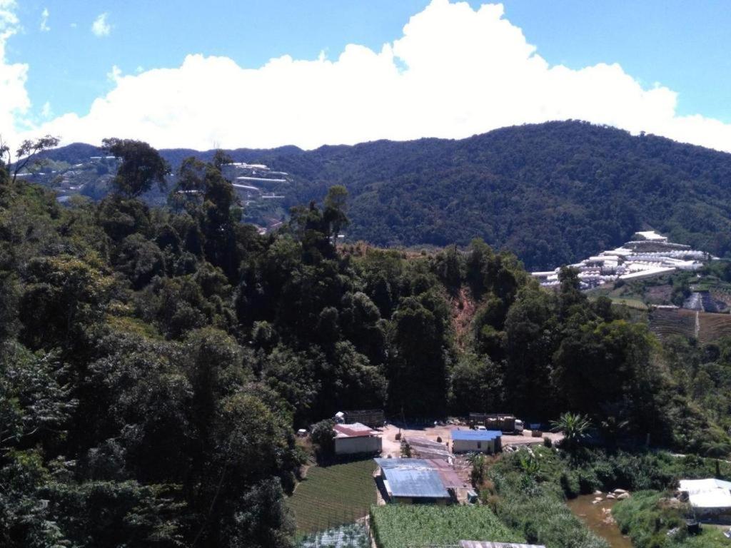 The Pines Hotel Kampung Kuala Terla Zewnętrze zdjęcie