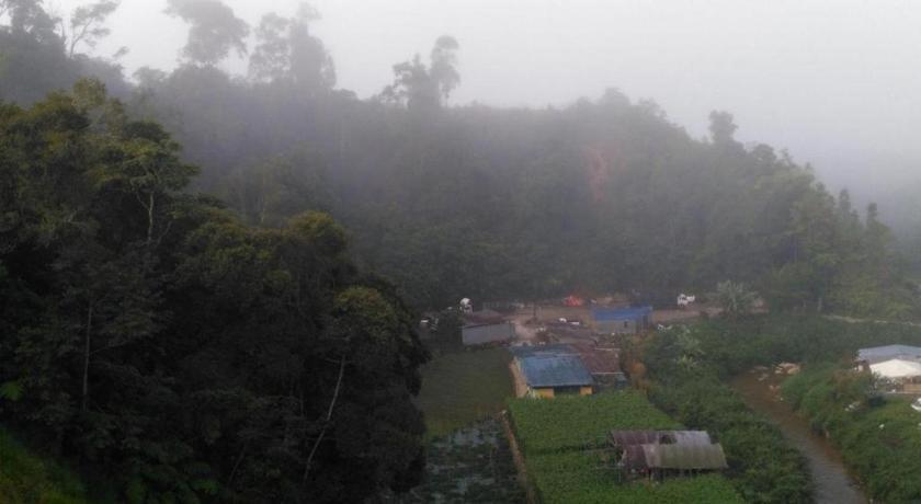 The Pines Hotel Kampung Kuala Terla Zewnętrze zdjęcie